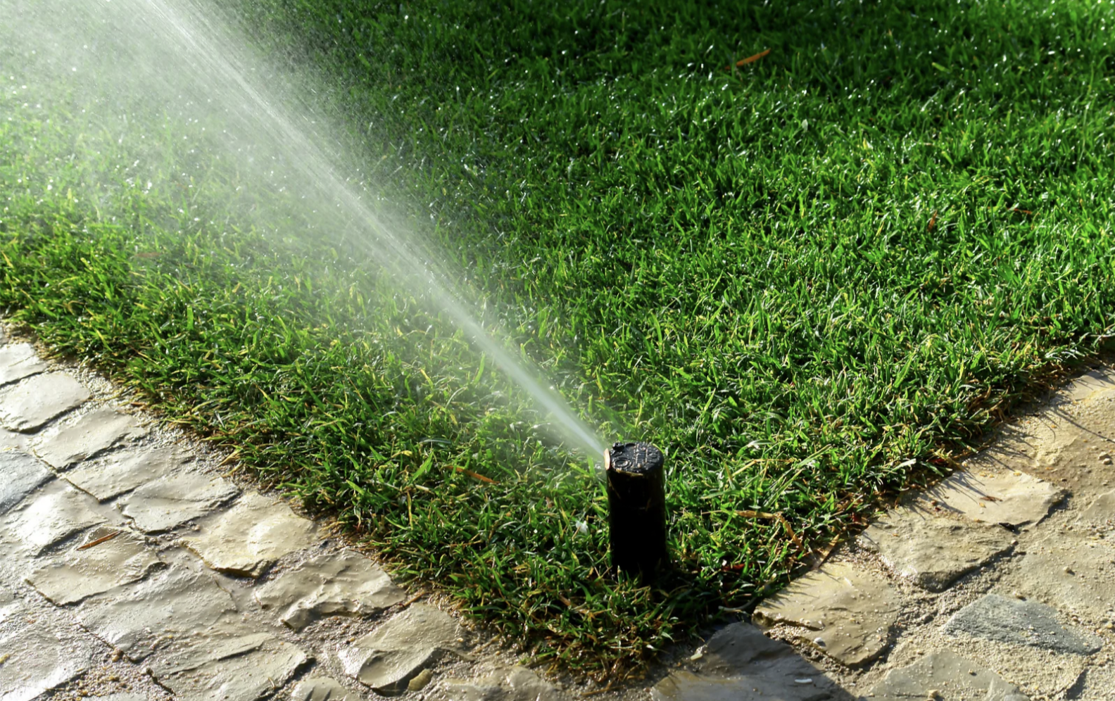 Services Smart Garden Irrigation Systems